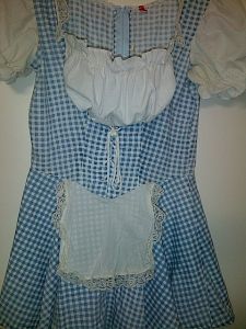 Adult Female Costumes to Hire - Alice dress (blue gingham)